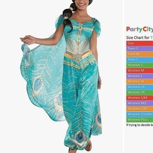 Jasmine Costume Size Large 10-12